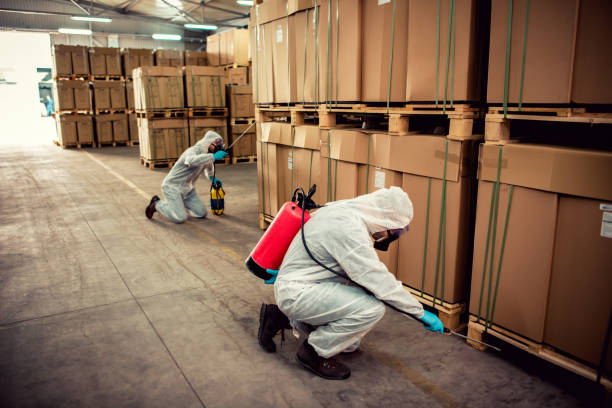 Best Pest Control Treatment  in Mahopac, NY