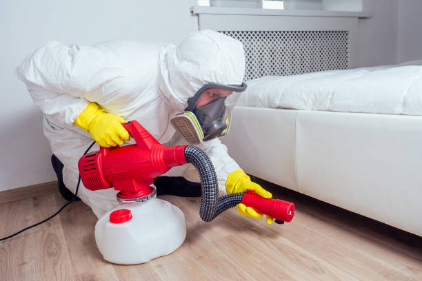 Best Bed Bug Extermination  in Mahopac, NY