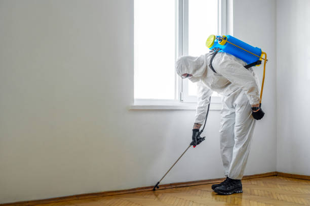 Best Termite Control Services  in Mahopac, NY