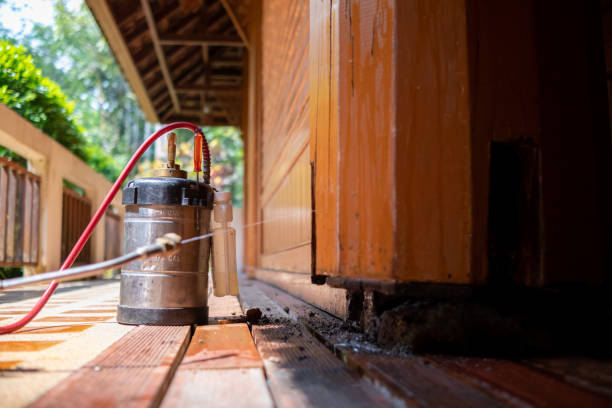Best Cockroach Control Services  in Mahopac, NY