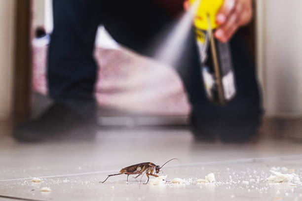 Best Pest Removal Services  in Mahopac, NY