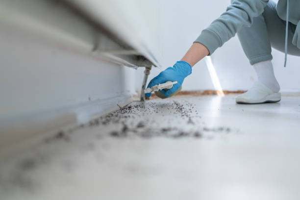Best Flea Control Services  in Mahopac, NY