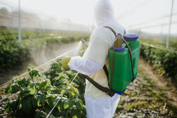 Pest Prevention Services in Mahopac, NY